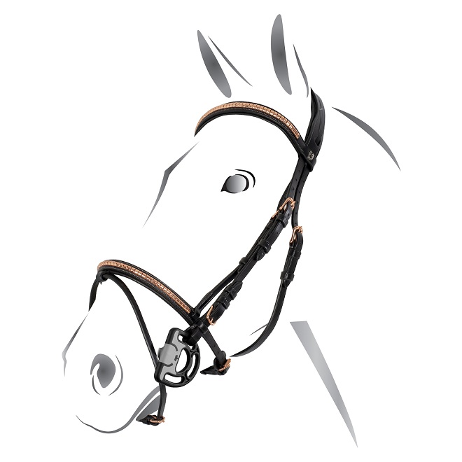 TESTIERA EQUESTRO CLINCHER ROSE' Testiera 